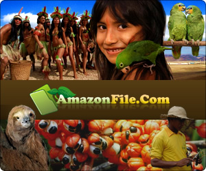 Amazon File‐アマゾンファイル